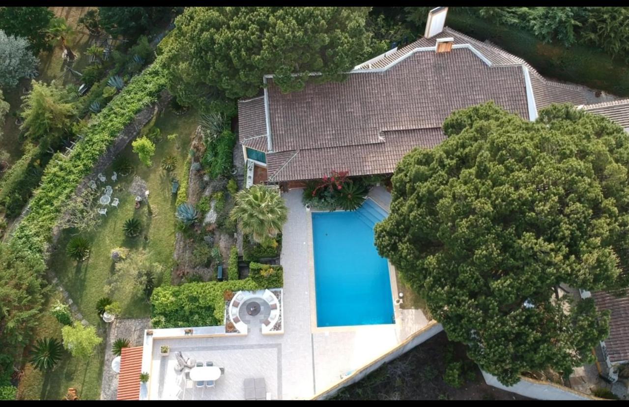 QUINTA DO MONTE DAS ABELHAS - La Vénus de Lisbonne Calhandriz Exterior foto